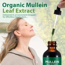 Mullein Drops for Lungs, Mullein Leaf Extract for Lungs, Natural Mullein Herbal Supplements, Mullein Chlorophyll Drops for Lungs, Lung Cleanse for Smokers - 2.02 fl oz 6