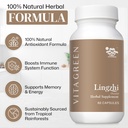 Vita Green Lingzhi Mushroom Supplement - Immune Support & Natural Energy Capsules - Red Reishi Mushroom Powder - Pure 5 Defenders Blend - 60 Capsules 5