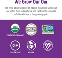 OM MUSHROOM SUPERFOOD Master Blend Mushrooms Capsule and Hot Chocolate Mushroom Powder Bundle 5