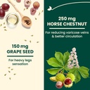 Adrien Gagnon - Feminex Healthy Legs 60 Capsules, Circulation and Vein Support for Healthy Legs, Blood Flow Supplement with Horse Chestnut Extract for Varicose Veins Treatment 4
