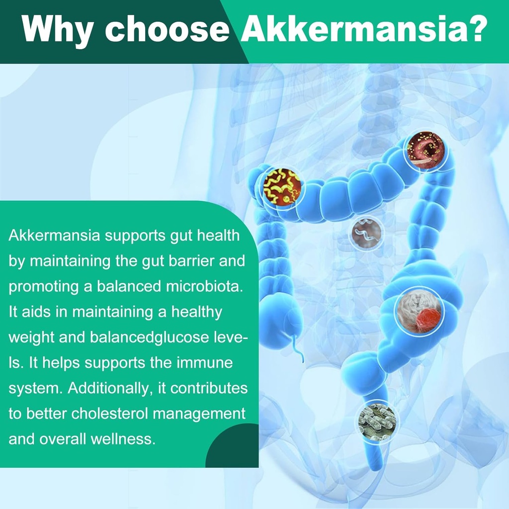 Akkermansia Muciniphila Probiotic for Gut Management - GLP-1 Boosting Supplement with Chicory Inulin, Turmeric, Resistant Starch, Vegan & Gluten Free - 30 Day Supply 6