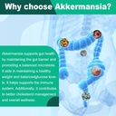 Akkermansia Muciniphila Probiotic for Gut Management - GLP-1 Boosting Supplement with Chicory Inulin, Turmeric, Resistant Starch, Vegan & Gluten Free - 30 Day Supply 6