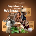 Mushroom Coffee, 10 Mushroom Extract Powder Blend Lion's Mane, Reishi, Chaga, Cordyceps, Turkey Tail, Brain Supplements with Instant Coffee for Energy, Focus, Memory and Immunity 300g 6