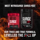 Jacked Factory Nitrosurge Shred Max Preworkout - High-Performance Thermogenic Pre Workout Powder for Men and Women with L Citrulline, Acetyl L Carnitine, Organic Caffeine - 40 Servings, Cherry Bomb 6