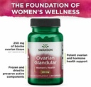 Swanson Ovarian Glandular - Natural Supplement Promoting Women's Glandular Health & Balance Support - Sourced from Premium Bovine Tissue to Support Wellness - (60 Capsules, 250mg Each) (4 Pack) 6