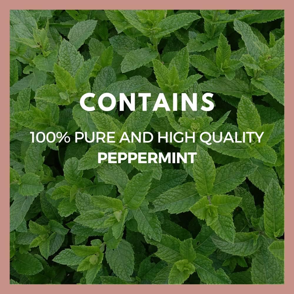 Remedy's nutrition Peppermint Leaf | 1,000 mg, 60 Vegan Capsules Herbal Dietary Supplement | Two Month Supply 5