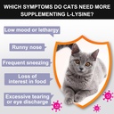 L-Lysine Powder for Cats, Immune Support for Cats, Supports Immune and Eye Health Supplement, Lysine Aid with Reduces Eye Discharge, Alleviates Sneezing and Runny Nose 5