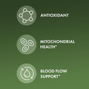 Dr. Mercola Organic Pine Bark Extract, 30 Servings (60 Tablets), With OPCs, Dietary Supplement, Antioxidant Support, Non-GMO, Certified USDA Organic 4