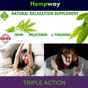 Hemp Sleep Gummies Triple Action | Promotes Healthy Sleep | Relaxes Body & Mind | Made in USA | 5mg Melatonin | 200mg Hemp | 10mg L-Theanine | 60 Organic Gummies 5