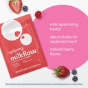 UpSpring Milkflow Electrolyte Berry & Chocolate Breastfeeding Supplement Drink Mixes with Fenugreek to Support Milk Supply* 5