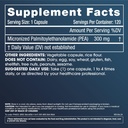 Pure Micronized P.E.A. or Palmitoylethanolamide | Temporarily Relieves Minor Aches | Superior Absorption | Supports Sleep and Longevity | Third-Party Tested | 300 mg per Capsule, 120 Capsules 3