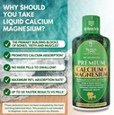 Tropical Oasis Liquid Calcium Magnesium | Promotes Strong Bones & Healthy Teeth | 98% Max Absorption | 32 Fl Oz, 64 Serv 5