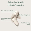 Primal Harvest Probiotics for Women and Men Shelf-Stable with Prebiotics Daily Supplement for Adults 60 Capsules (2 Pack) 4