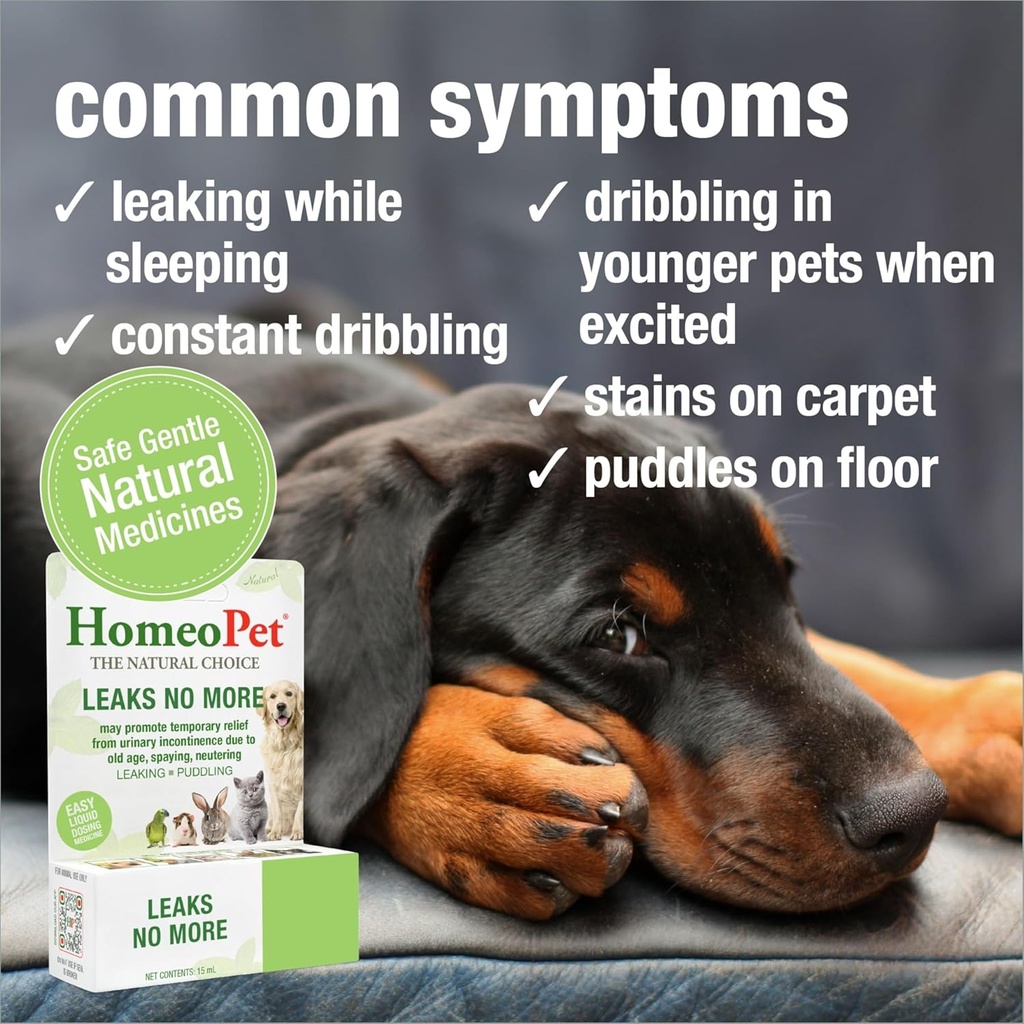 HomeoPet Leaks No More, Safe, Gentle, and Natural Cat and Dog Urinary Incontinence Relief, 15 Milliliters 4