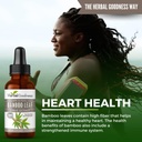 Bamboo Extract for Hair Growth - 70% Natural Silica - Vegan Collagen Superfood, Dietary Fiber for Hair, Skin, Nail & Joint Health -12(1oz) btls - Herbal Goodness 4