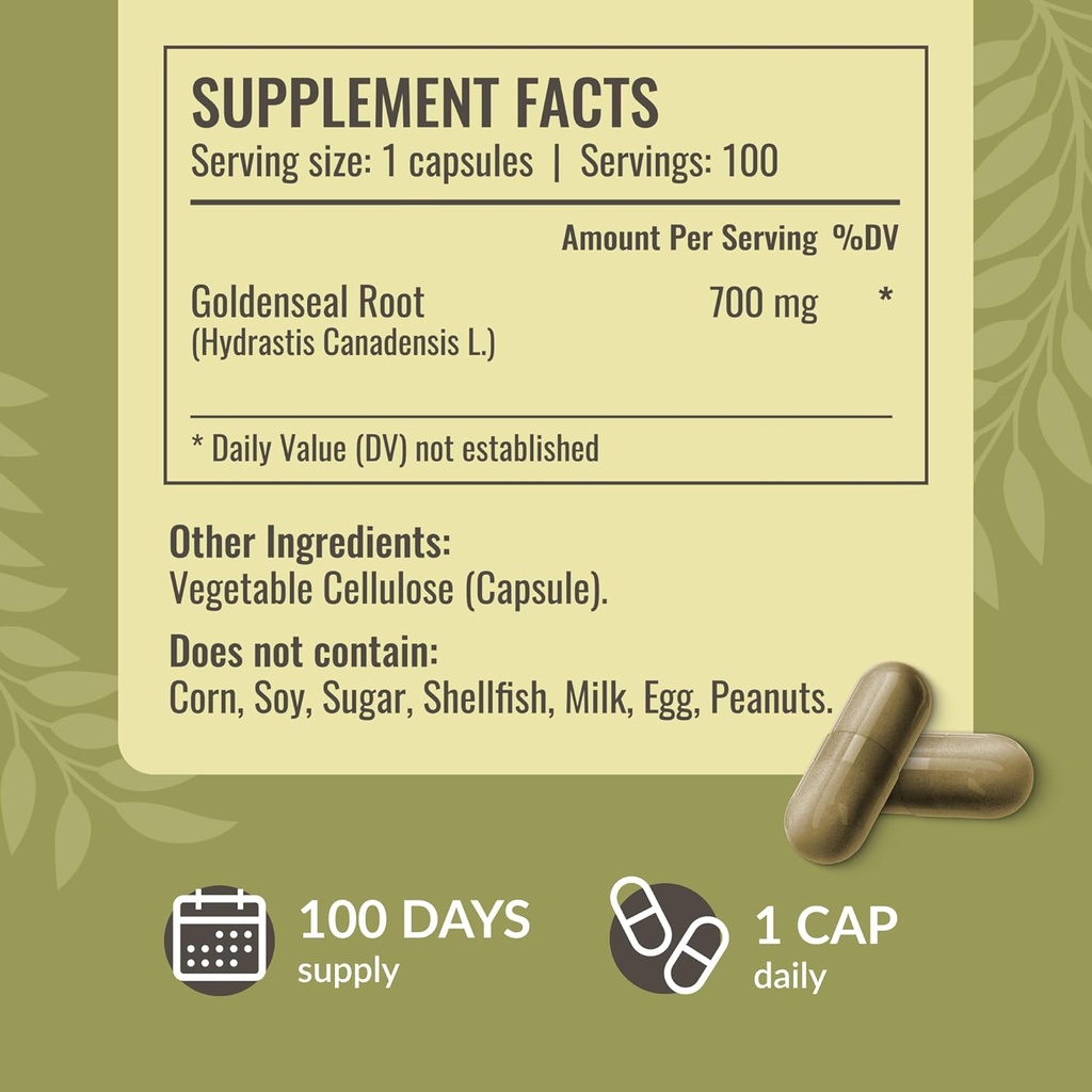 HERBAMAMA Mullein Leaf Extract and Goldenseal Capsules Kit - Bundle of Mullein Leaf Tincture 2 fl oz and 700 mg Goldenseal Root Capsules - Vegan, Non-GMO, Sugar & Alcohol-Free - 2 Pack 6