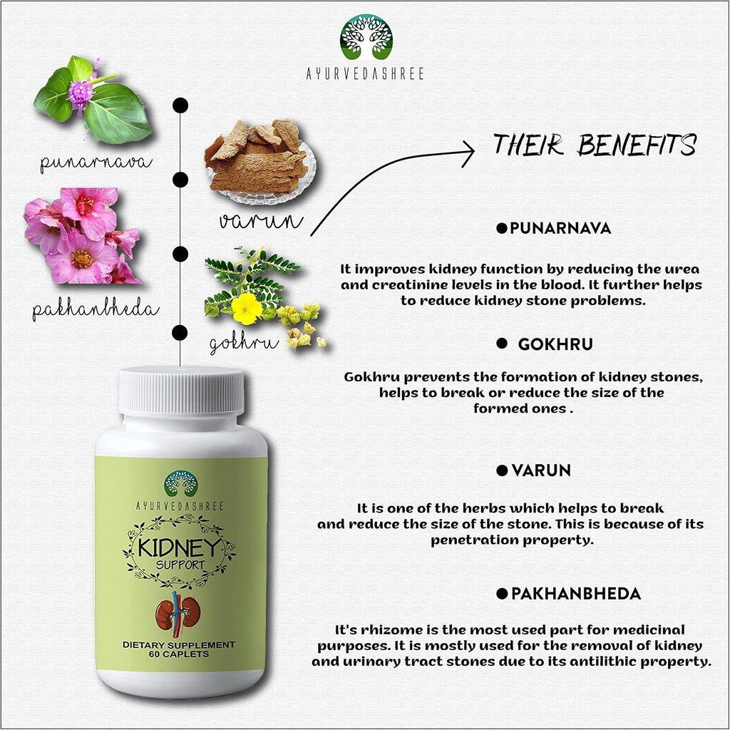 Kidney Support Herbal Supplement - Supports Healthy Kidney Function, Vegan, Gluten-Free, GMP Certified - Each Caplet of 1000 MG 3