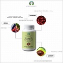 Kidney Support Herbal Supplement - Supports Healthy Kidney Function, Vegan, Gluten-Free, GMP Certified - Each Caplet of 1000 MG 4