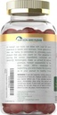 Carlyle Apple Cider Vinegar Gummies | 120 Count | USDA Organic ACV | Apple Flavor | Vegan, Non-GMO & Gluten-Free Supplement 4