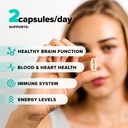 Complement Omega Complex & Triple B12 Spray Bundle – Complete Vegan Omega-3 and B12 Supplementation for Enhanced Energy and Wellness 3