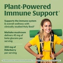 MegaFood Superfood Mushroom Immune Support - Maitake Mushroom Supplement with Elderberry & Holy Basil to Help Support a Healthy Immune System - Doctor Formulated, Vegan - 60 Capsules, 30 Servings 4