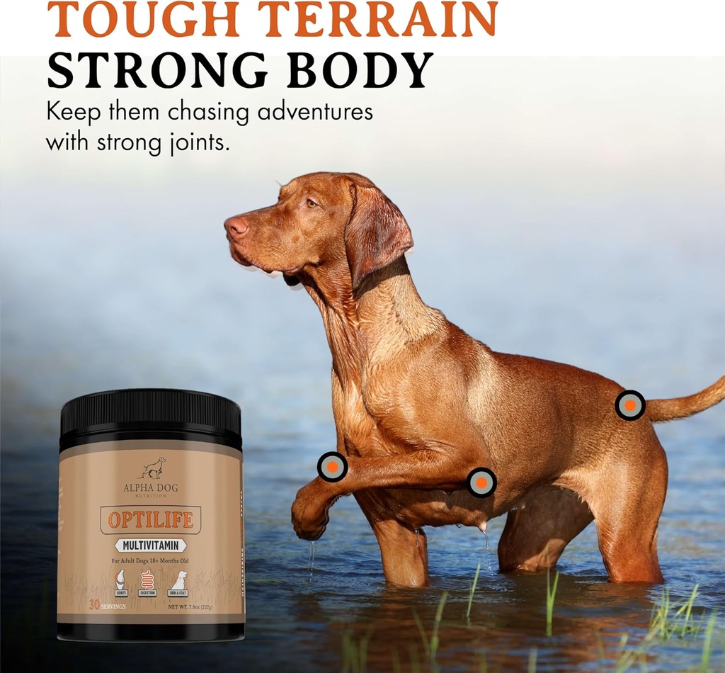 OptiLife Dog Multivitamin Powder - Adult Dog Multivitamin with Probiotics, Allergy Support, Joint Support, Skin & Coat Support - Dog Vitamins and Supplements - Multivitamin for Dogs (60 Servings) 4