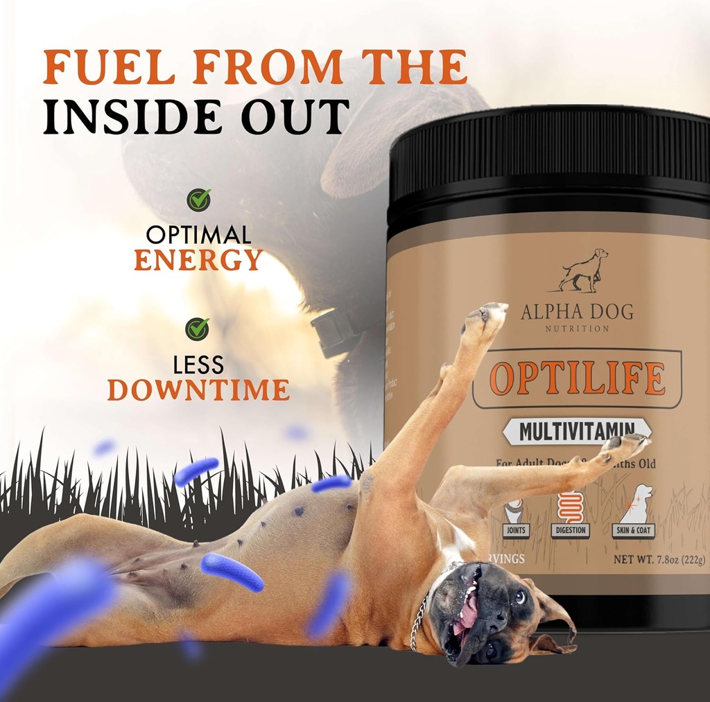 OptiLife Dog Multivitamin Powder - Adult Dog Multivitamin with Probiotics, Allergy Support, Joint Support, Skin & Coat Support - Dog Vitamins and Supplements - Multivitamin for Dogs (60 Servings) 5
