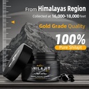 Pure Himalayan Shilajit Resin for Men Women: Natural Organic Shilajit Supplement 600MG Rich in 85+ Trace Minerals 75%+ Fulvic Acid for Energy Immunity Focus Support 50 Servings 5