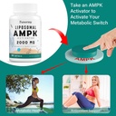 Liposomal AMPK Activator 2000 mg - High Bioavailability Berberine HCL,DIM,Milk Thistle,and Cinnamon Bark Capsule 6-in-1 AMPK Supplements for Antioxidant Support and Cellular Regulation, 120 Softgels 6