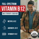 Organic Vitamin B12 - 5000 mcg, 3 BioActive Forms B12: Methyl B12, Adenosyl B12 & Hydroxy B12 - Plus L-Methylfolate Cofactor | Sublingual Form, Cherry Flavor, Vegan, Non-GMO (120 Servings - 2 Pack) 3