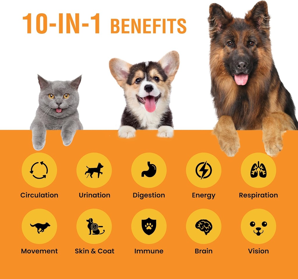 10-in-1 Liquid Multivitamin for Dogs and Cats, 2 Ounce Multi Vitamin Supplement, Vitamin for Dogs, Vitamins for Cats, with Glucosamine & Cranberry, 2 oz 3