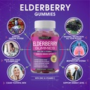 Elderberry Gummies with Zinc & Vitamin C – Sambucus Elderberry Gummy for Immune System Support, Natural Elderberry Extract Supplement for Adults Kids, Alternative to Capsules, Gluten Free, 60 Gummies 3
