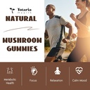 Mushroom Complex Gummies Supplements 12 Blend with Lions Mane Supplement Vegan Blend with Reishi, Cordyceps, Ashwagandha - Lion's Mane Mushroom Gummies for Adults Brain Booster, Immune Support, Energy 5