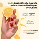 PYM Citrus Mood Chews Support for Stress, Worry & Overwhelm, 120 Count | 130mg GABA, 90mg L-Theanine | Vegan, Non-GMO, Gluten-Free, No Added Sugar | All-Natural Mood Balance Supplement Made in USA 6