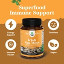 Bundle of Pure SAM-E Nootropic Brain Supplement and Organic Irish Sea Moss Capsules -Immune Support and Mood Support Supplement - Sea Moss and Bladderwrack Capsules with Burdock Root Superfood Blend 6