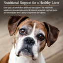 Rx Vitamins Hepato Support for Dogs & Cats - Milk Thistle for Healthy Liver Function - Silymarin Capsules for Pets - 90 ct. 4