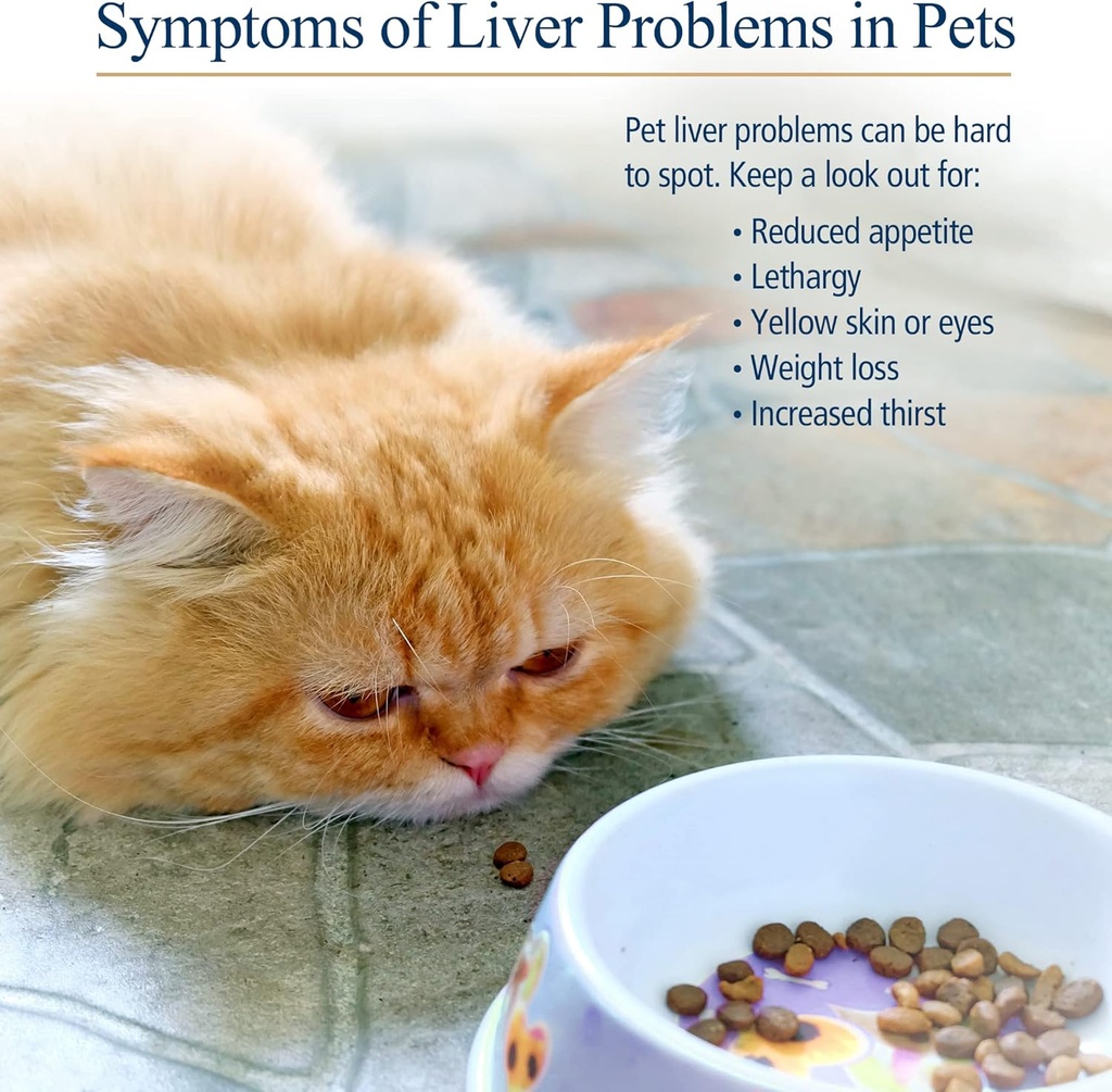 Rx Vitamins Hepato Support for Dogs & Cats - Milk Thistle for Healthy Liver Function - Silymarin Capsules for Pets - 90 ct. 5