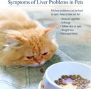 Rx Vitamins Hepato Support for Dogs & Cats - Milk Thistle for Healthy Liver Function - Silymarin Capsules for Pets - 90 ct. 5