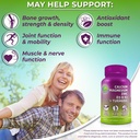 Vegan Whole Food Multivitamin with Iron + Plant-Based Calcium, Magnesium, Zinc, D3, K2 & Organic Turmeric – Complete Daily Supplement Bundle for Men & Women – Energy, Immunity & Bone Support 6