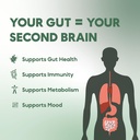 Prebiotics & Probiotics | Advanced Technology: Lower Dose & Quicker Results - for Digestion, Brain Health, Immunity, & Metabolism - for Men & Women, Adult Uni-sex, Vegan & upto 45 Days Supply 4