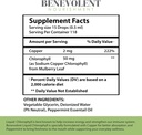 Benevolent Chlorophyll Liquid Drops & Women's Multivitamin - 100% Natural + 4X Potency Concentration for Healthy Skin & Internal Deodorant - Daily Vitamins for Women with Biotin, Calcium, Magnesium 5
