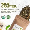 Evergreen Herbs Wereque (Wereke)- Ibervillea Sonorae, Huereque, Guareque, Wareki, Wereque and Choyalhuani - Tamper Proof Seal to Ensure Freshness (8oz, Powder) 6