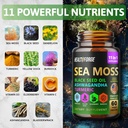 Shilajit, Ashwagandha Capsules & Sea Moss Capsules Black Seed Oil Capsules Ashwagandha, Turmeric - Shilajit for Woman Men Immune Support Rhodiola Rosea, Shilajit 60 Capsules & Sea Moss 60 Capsules Set 3
