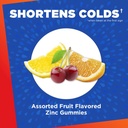 Zicam Cold Remedy Zinc Medicated Fruit Drops, Assorted Flavors, Homeopathic, Cold Shortening Medicine, Shortens Cold Duration, 25 Count (Pack of 2) 3