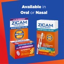 Zicam Cold Remedy Zinc Medicated Fruit Drops, Assorted Flavors, Homeopathic, Cold Shortening Medicine, Shortens Cold Duration, 25 Count (Pack of 2) 6