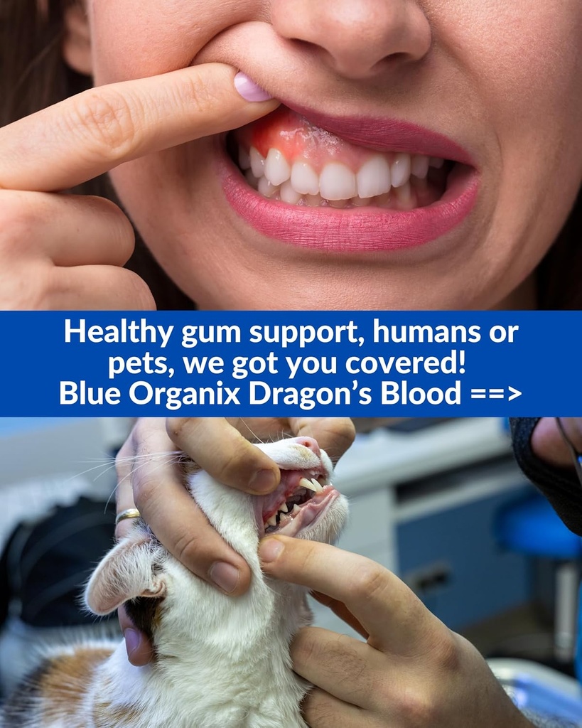 receding-gums-support-dragons-blood-2-oz-3.jpg