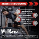Berberine HCL Supplement 2000mg - Supports Immune System, Cardiovascular Health - Non GMO | Gluten Free 5