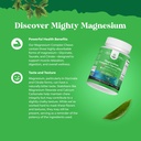 Sugar Free Magnesium Glycinate Chewable - Chewable Magnesium for Adults & Kids with Glycinate Taurate & Citrate Complex Plus Vitamins D3 B6 & C - Vegetarian Non-GMO & No Artificial Flavors (90 Day) 5