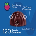 Viteey L-Theanine Gummies with Ginkgo Biloba for Adults - aids in Focus & Relax, Improve Mood - Non GMO, Gelatin Free, Vegan, Gluten Free, Naturally Sourced Chewable Tasty Raspberry Flavored Gummy 4