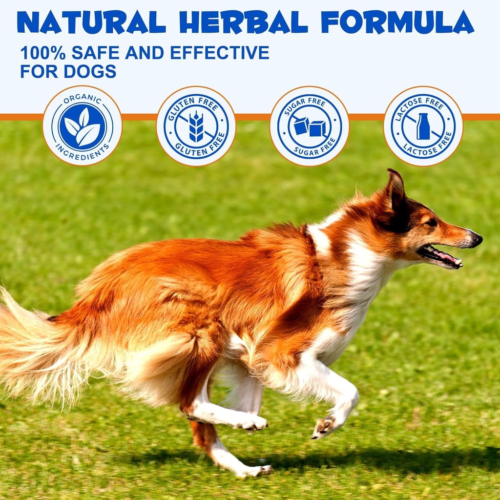 Dog Joint Aid & Relief Supplement with Chondroitin & Glucosamine HCl – Relieves Joint Pain & Reduces Inflammation for Senior Dogs, Active Adults & Puppies 3